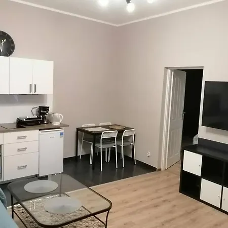 Sophus Respite. Samo Centrum Krakowa Cracóvia