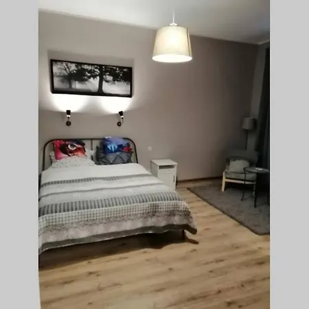 Sophus Respite. Samo Centrum Krakowa Cracovia