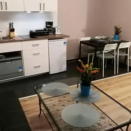 Sophus Respite. Samo Centrum Krakowa *