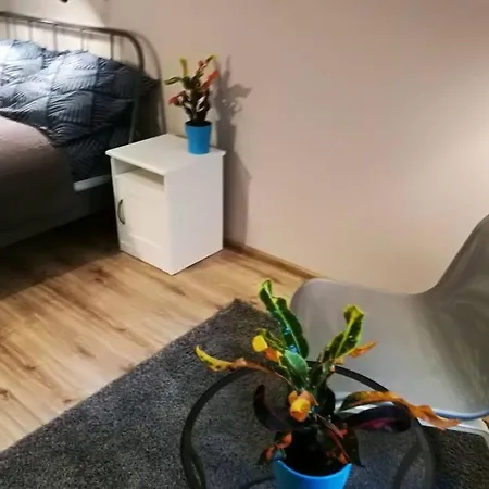 Sophus Respite. Samo Centrum Krakowa Cracovia