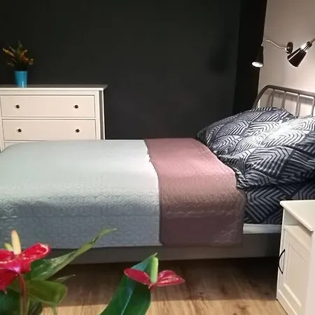 Sophus Respite. Samo Centrum Krakowa *